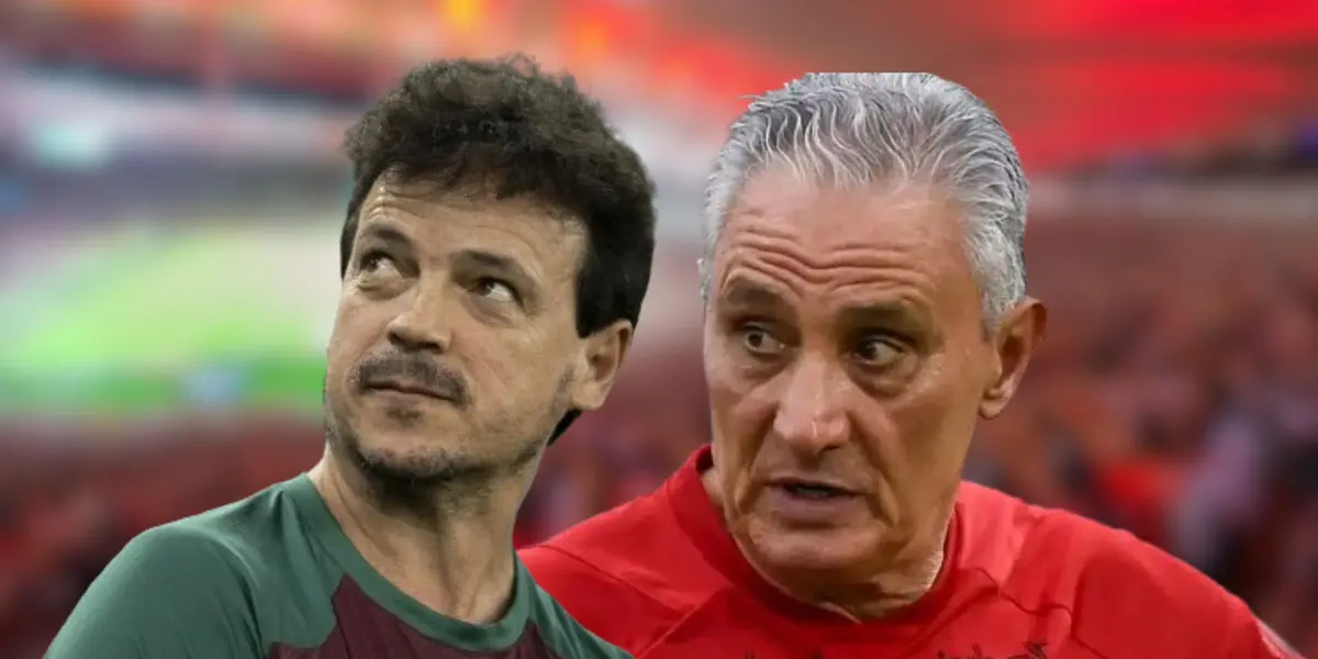 Fernando Diniz e Tite