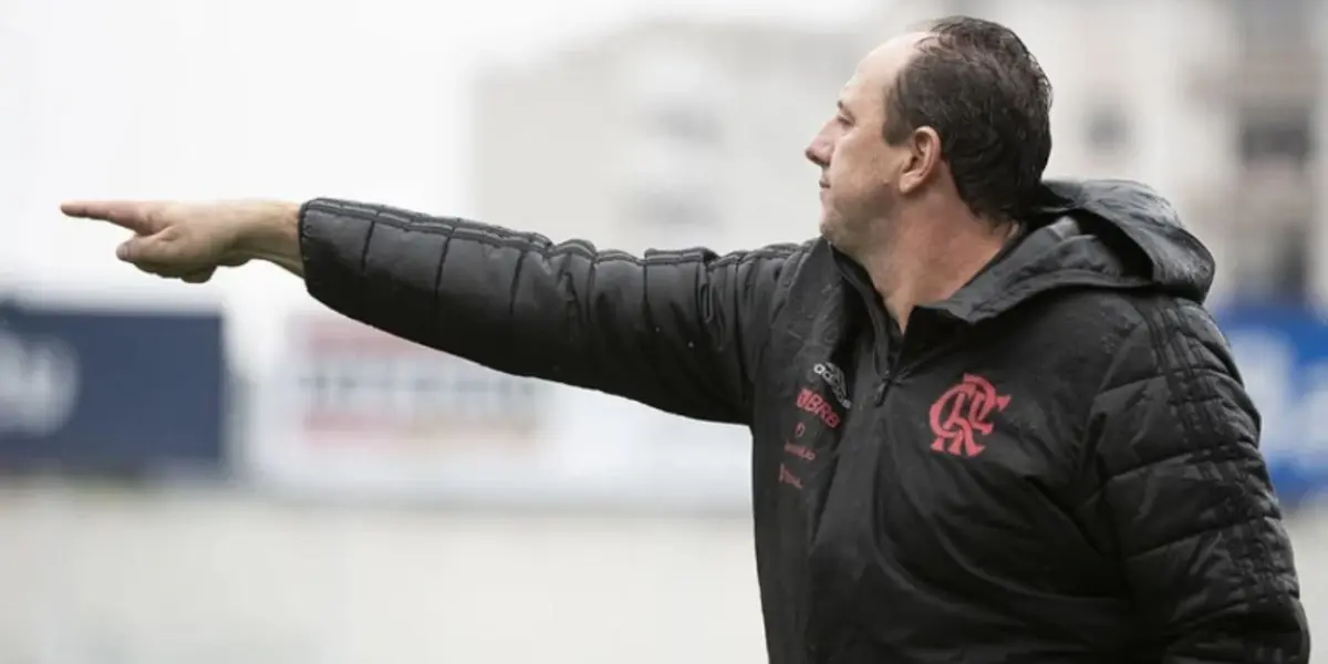 Técnico pode assumir o Santos